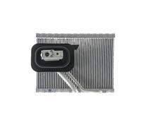 MAHLE AE 127 000P Vaporisateur