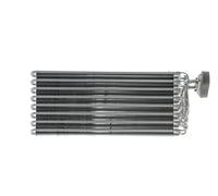 MAHLE AE 197 000P Évaporateur de climatisation
