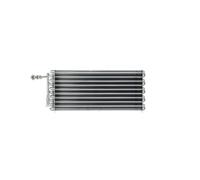 MAHLE AE 198 000P Évaporateur de climatisation