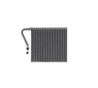 MAHLE AE 216 000S Évaporateur de climatisation