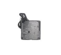 MAHLE AE 229 000P Évaporateur climatisation pour FORD