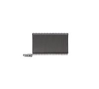 MAHLE AE 250 000P Évaporateur de climatisation