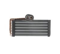 MAHLE AE 45 000P Vaporisateur