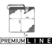 MAHLE AE 51 000P Atomiseur BEHR PREMIUM LINE