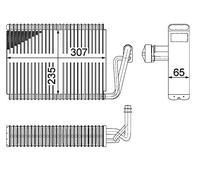 MAHLE AE 53 000P Atomiseur BEHR PREMIUM LINE