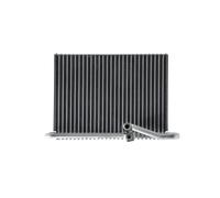 MAHLE AE 74 000S Évaporateur de climatisation