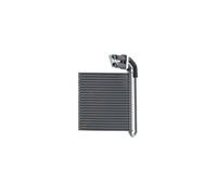 MAHLE AE 99 000S Évaporateur de climatisation