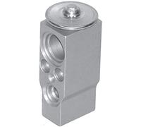 MAHLE AVE 117 000P Valve d'expansion et tube Orifice
