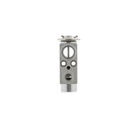MAHLE AVE 131 000P Valve d'expansion et tube oriental