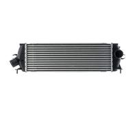 MAHLE CI 534 000P Intercooler