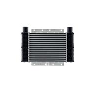 MAHLE CI 545 000P Intercooler