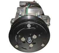 MAHLE Compresseur de clim Compresseur De Climatisation ACP 1024 000S pour FIAT