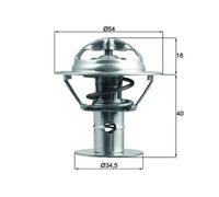 MAHLE TX 180 86D Thermostat, liquide de refroidissement pour FORD,FORD USA,JAGUA
