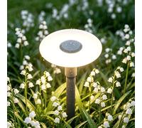 Mai & Mai Lampe sur Pied Extérieur Gris Foncé 300x804mm Éclairage Extérieur de Jardin LED IP65 Desgin StellaeLights
