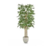 Maia Shop | Bambou Artificiel | Plantes Artificielles Interieur | Plante Artificielle | Mesures: 150 x 70 cm | Fausse Plante | Arbre Artificiel | Décoration