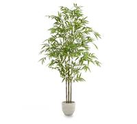 Maia Shop | Bambou Artificiel | Plantes Artificielles Interieur | Plante Artificielle | Mesures: 180 x 80 cm | Plante Artificielle Grande | Arbre Artificiel | Décoration | Minimaliste