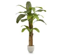 Maia Shop | Bananier Artificiel | Plante Artificielle interiur | Mesures: 180 x 90 cm | Plante Artificielle Grande | Fausse Plante | Décoration