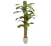 Maia Shop | Bananier Artificiel | Plante Artificielle interiur | Mesures: 210 x 110 cm | Plante Artificielle Grande | Fausse Plante | Décoration