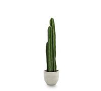 MAIA SHOP Cactus artificiel 100 cm - Plante décorative réaliste de hauteur moyenne pour maison, bureau, hôtel et projets d'intérieur
