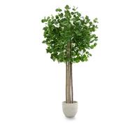 Maia Shop Eucalyptus Artificiel | Plantes artificielles décoratives | Dimensions : 190 x 100 cm | Grande Plante Artificielle réaliste | Décoration