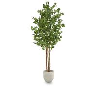 Maia Shop | Eucalyptus Artificiel | Plantes Artificielles Interieur | Plante Artificielle | Mesures: 180 x 80 cm | Plante Artificielle Grande | Arbre Artificiel | Décoration