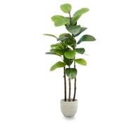 Maia Shop | Ficus Artificiel | Ficus Elastica | Plantes Artificielles Interieur | Plante Artificielle | Mesures: 120 x 60 cm | Caoutchouc | Fausse Plante | Decoration Maison
