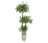 Maia Shop | Ficus Artificiel | Plantes Artificielles Interieur | Plante Artificielle | 3 Cimes Mesures: 175 x 80 cm | Fausse Plante | Arbre Artificiel | Decoration Maison