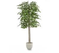 Maia Shop | Ficus Artificiel | Plantes Artificielles Interieur | Plante Artificielle | Mesures: 180 x 70 cm | Plante Artificielle Grande | Arbre Artificiel | Décoration