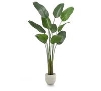 Maia Shop | Oiseau du Paradis Plante | Plante Artificielle interiur | Mesures: 210 x 115 cm | Plante Artificielle Grande | Fausse Plante | Strelitzia | Décoration