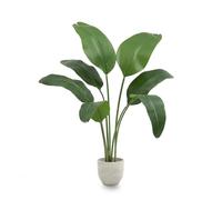 Maia Shop | Oiseau du Paradis Plante | Plante Artificielle interiur | Plante Artificielle | Mesures: 120 x 90 cm | Fausse Plante | Strelitzia | Decoration Maison