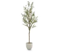 Maia Shop | Olivier Artificiel | Plantes Artificielles Interieur | Plante Artificielle | Mesures: 180 x 65 cm | Plante Artificielle Grande | Arbre Artificiel | Décoration | Minimaliste
