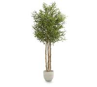 Maia Shop | Olivier Artificiel | Plantes Artificielles Interieur | Plante Artificielle | Mesures: 190 x 100 cm | Plante Artificielle Grande | Arbre Artificiel | Décoration