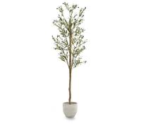 Maia Shop | Olivier Artificiel | Plantes Artificielles Interieur | Plante Artificielle | Mesures: 210 x 65 cm | Plante Artificielle Grande | Arbre Artificiel | Décoration | Minimaliste