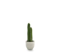 Maia Shop Plantes artificielles décoratives - Cactus Aritificial 70 cm, Plantes artificielles réalistes, décoration d'intérieur, décoration intérieure et extérieure