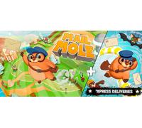Mail Mole Xpress Deliveries (PC)