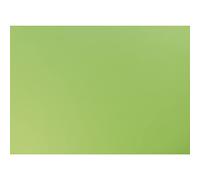 Maildor by Clairefontaine 455319C - Paquet de 25 Feuilles de Papier Couleur 120g - Coloris Vert Pomme - Format 50x65cm - Papier Recyclé, Lisse et Cartonné - Bricolage et Activités Manuelles