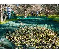 Maillestore Filet de récolte 50gr/m² - sans Finition Vert 6m x 8m