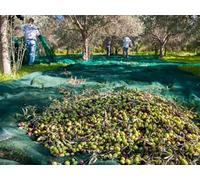 Maillestore Filet de récolte 50gr/m² Vert 3m x 100m