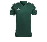 Maillot adidas Condivo 22 Vert S