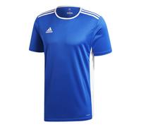 Adidas T-shirt Entrada18 Homme - Gris (Bleu/Blanc) - L