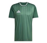 Adidas Entrada 26 Graphic Short Sleeve T-shirt Vert M / Regular Homme