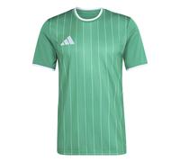 Maillot adidas Entrada26 Graphic Vert XS