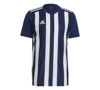 Maillot adidas Striped 21 Bleu M Male