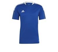 adidas TIRO21 TR JSY Jersey (Short Sleeve) Mens, Team Royal Blue, S