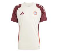 Adidas Fc Bayern Munich 24/25 Eu Training Short Sleeve T-shirt Beige S Homme