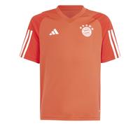 Maillot d’entraînement enfant Bayern Munich 2023 Rouge 13/14 ans Unisex