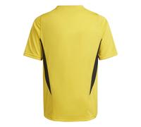 Maillot d’entraînement enfant Juventus Turin 2023/24 Doré 15/16 ans Unisex