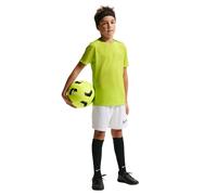 Maillot d’entraînement enfant Tottenham Academy Pro SE 2025/26 Vert 8/10 ans Unisex