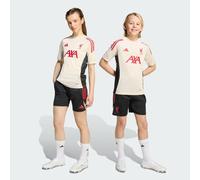 Maillot d’entraînement Liverpool FC Tiro 25 Competition enfants Wonder White 13-14A