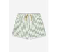 Maillot de bain short Duke Stripe vert 4A